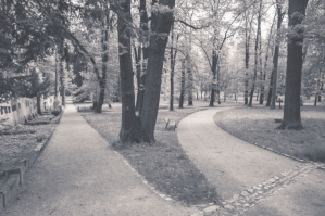 Famiienrecht I Prenzlauer Berg I Fachanwalt